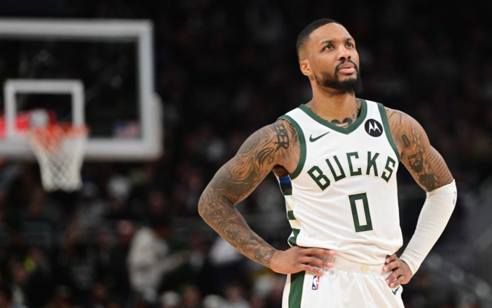 将新的理念 将新的理念