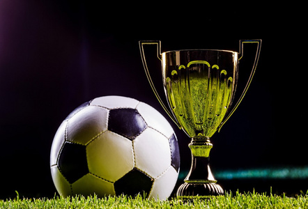 本次更新的 本次更新的