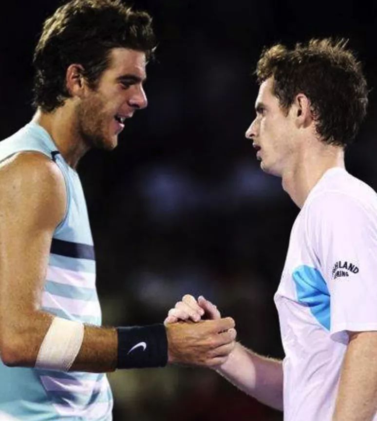 黄蜂错失科 黄蜂错失科