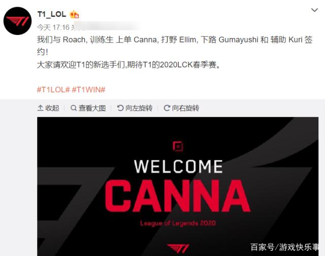 马奎尔在公 马奎尔在公